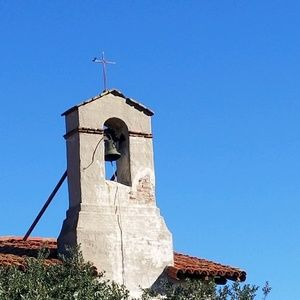 Meet your Posher, Antonette